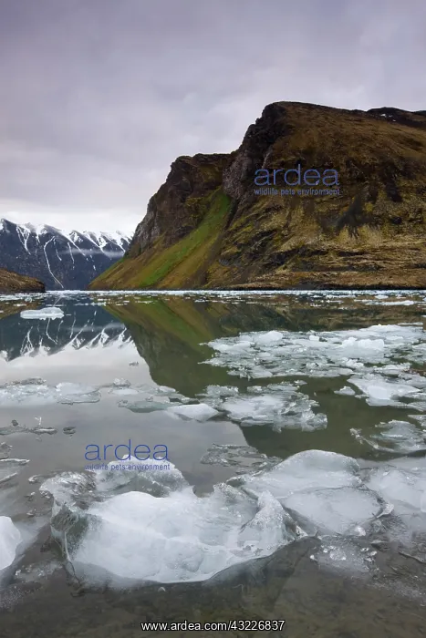 : Norway, Svalbard, Spitsbergen, Small icebergs : Norway, Svalbard, Spitsbergen, Small icebergs
