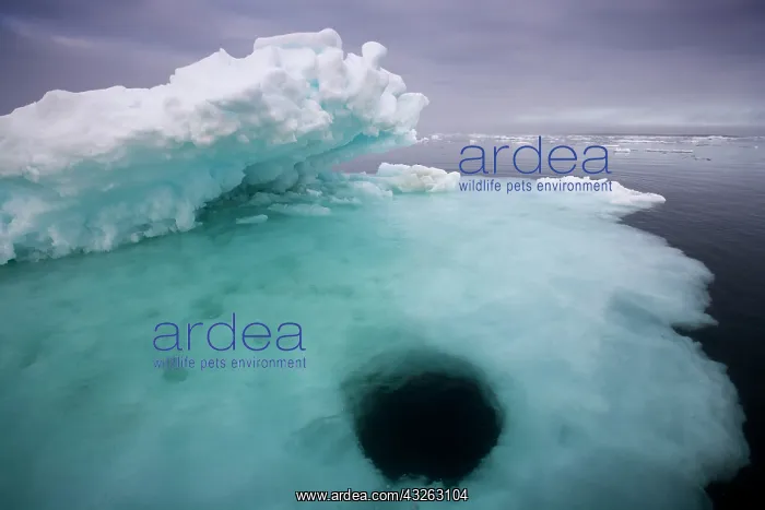 : Norway, Svalbard, Storfjorden Fjord, Hole : Norway, Svalbard, Storfjorden Fjord, Hole