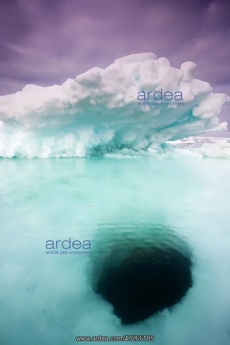 : Norway, Svalbard, Storfjorden Fjord, Hole : Norway, Svalbard, Storfjorden Fjord, Hole
