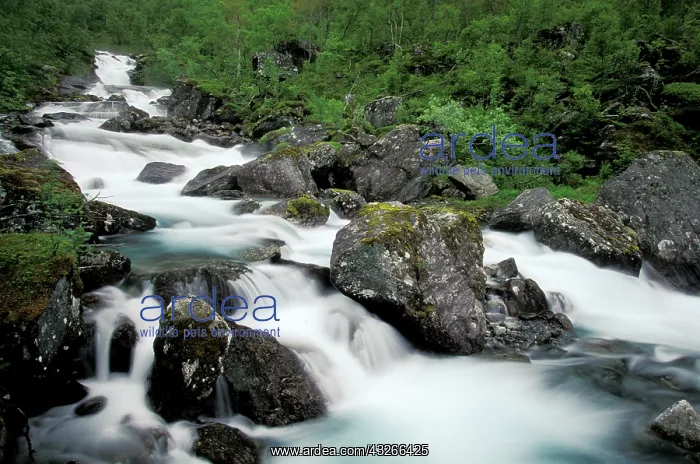 : Norway, Trollsteingen. Waterfall detail : Norway, Trollsteingen. Waterfall detail
