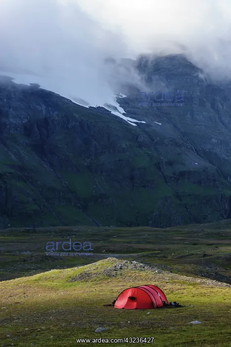: Norway, Troms, Isdalen. Campsite on arctic : Norway, Troms, Isdalen. Campsite on arctic