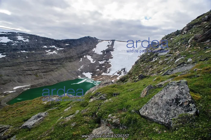 : Norway, Troms. Receding glacier and glacial : Norway, Troms. Receding glacier and glacial