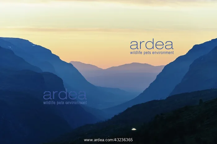 : Norway, Troms. Sordalen : Norway, Troms. Sordalen