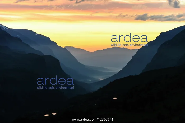 : Norway, Troms. Sordalen : Norway, Troms. Sordalen