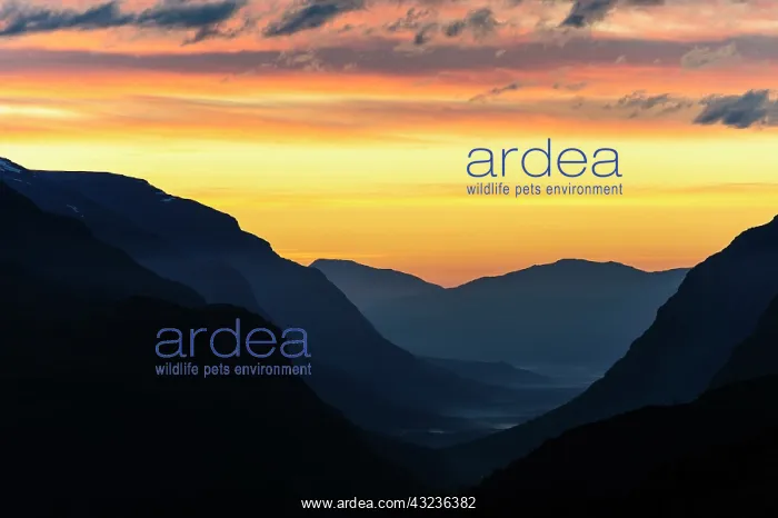: Norway, Troms. Sordalen : Norway, Troms. Sordalen