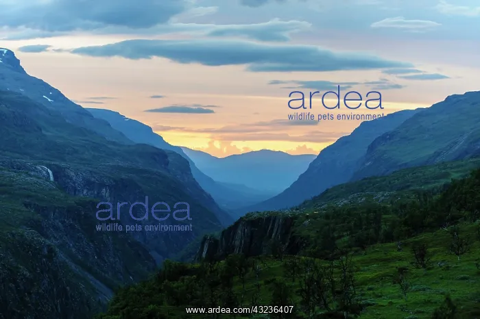 : Norway, Troms. Sordalen : Norway, Troms. Sordalen