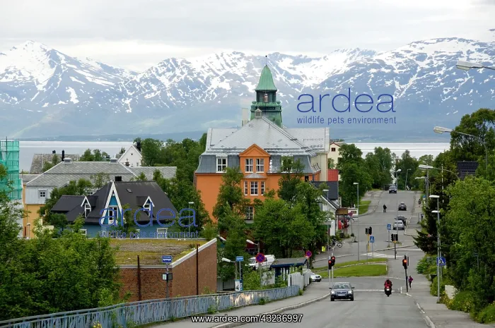 : Norway, Tromso. Gateway to the Arctic located : Norway, Tromso. Gateway to the Arctic located