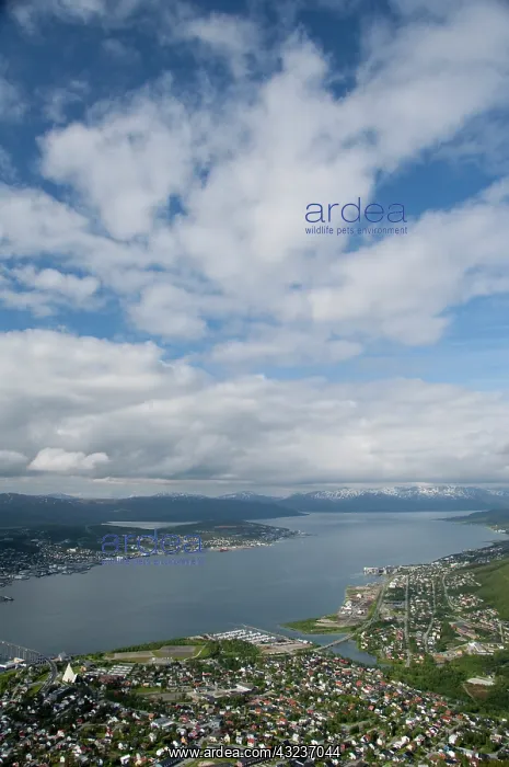 : Norway, Tromso. Gateway to the Arctic located : Norway, Tromso. Gateway to the Arctic located