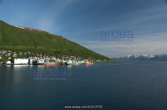 : Norway, Tromso. Gateway to the Arctic located : Norway, Tromso. Gateway to the Arctic located