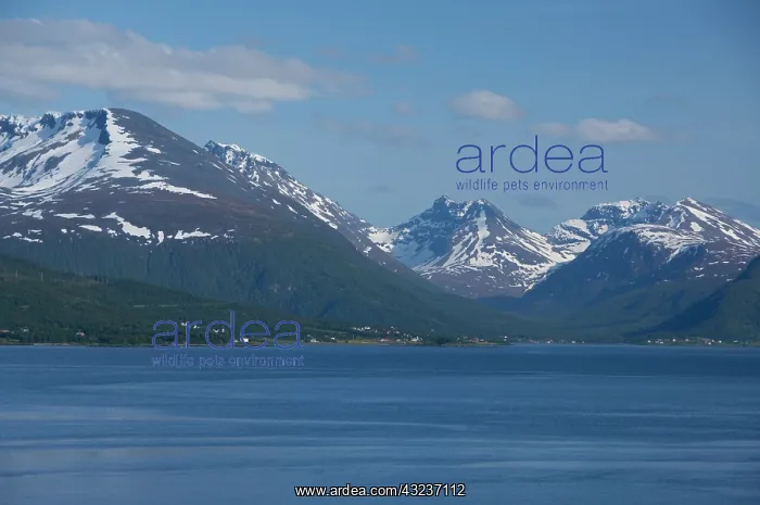 : Norway, Tromso. Gateway to the Arctic located : Norway, Tromso. Gateway to the Arctic located