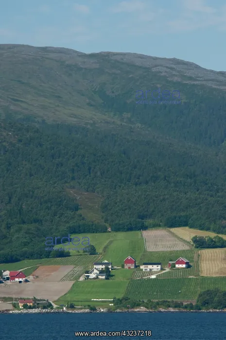 : Norway, Trondheimsforden, Trondheim. Coastal : Norway, Trondheimsforden, Trondheim. Coastal