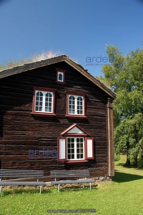 : Norway, Trondheimsforden, Trondheim. Sverresborg : Norway, Trondheimsforden, Trondheim. Sverresborg