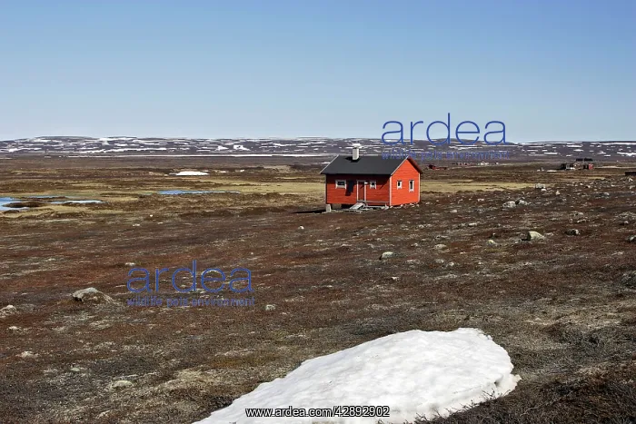 : Norway - tundra landscape at edge of Varanger Fjord : Norway - tundra landscape at edge of Varanger Fjord