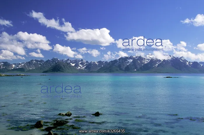  : Norway, Vesteralen Islands, Kleiva. Mountainscape