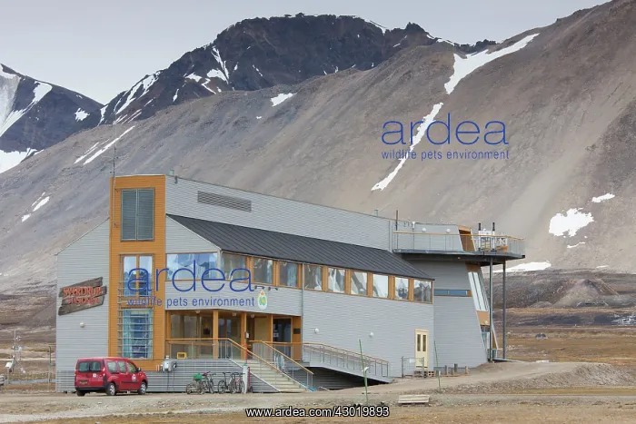 : Norwegian Polar Institute : Norwegian Polar Institute