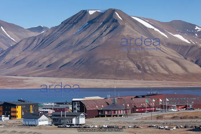 : Norwegian Polar Institute : Norwegian Polar Institute