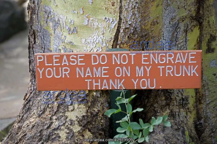 : Notice on Tree trunk - Please do not engrave your : Notice on Tree trunk - Please do not engrave your