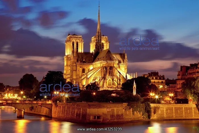 : Notre Dame Cathedral along River Seine at : Notre Dame Cathedral along River Seine at