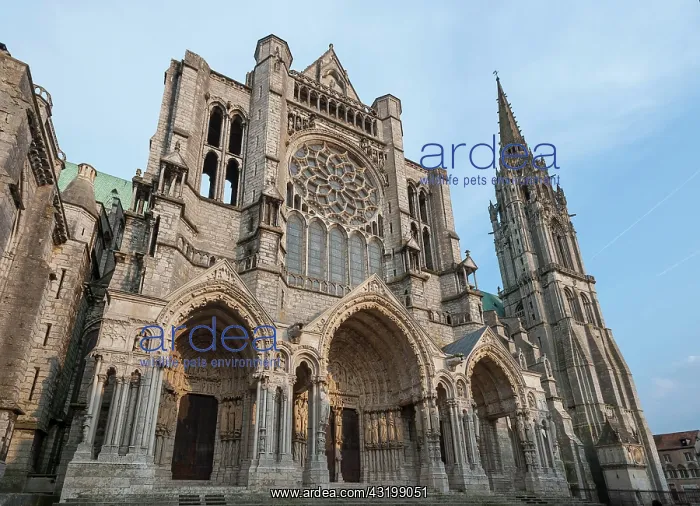 : Notre-Dame de Chartres Cathedral, Chartres, Eure-et-Loir : Notre-Dame de Chartres Cathedral, Chartres, Eure-et-Loir