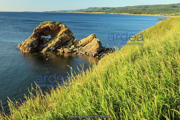 : Nova Scotia, Cape Breton, Cabot Trail, Margaree Cape : Nova Scotia, Cape Breton, Cabot Trail, Margaree Cape