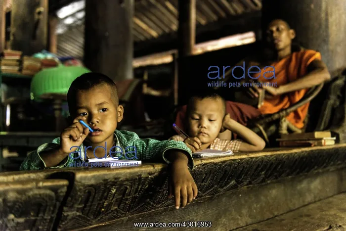  : Novice Monks studying