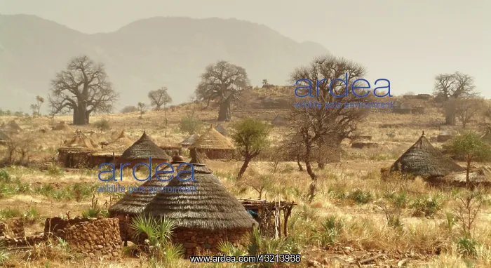 : Nuba Mountains, Nugera village : Nuba Mountains, Nugera village