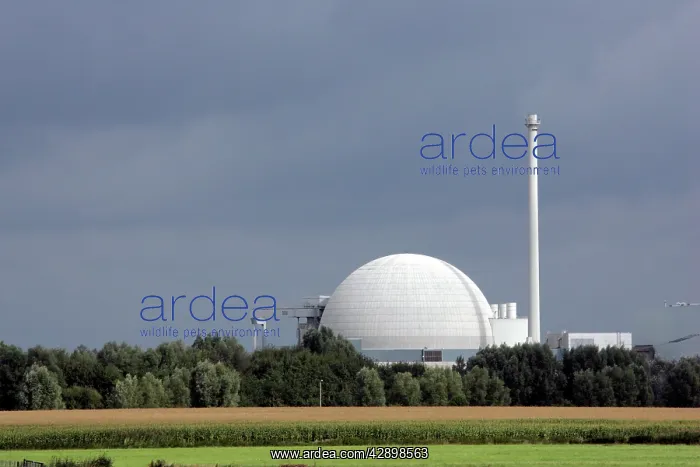 : Nuclear Power Plant : Nuclear Power Plant