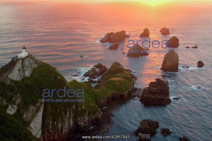 : Nugget Point - sea stacks called nuggets and Nugget : Nugget Point - sea stacks called nuggets and Nugget