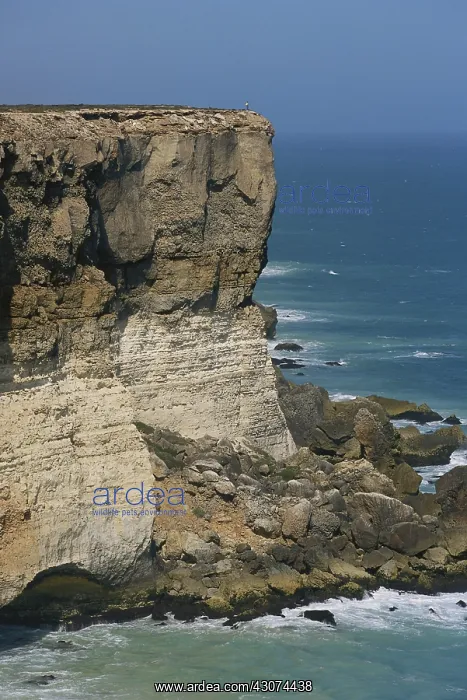  : Nullarbor Cliffs, Australia
