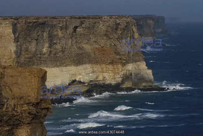 : Nullarbor Cliffs, Australia : Nullarbor Cliffs, Australia
