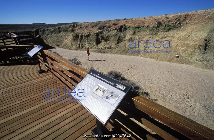 : Numerous dinosaur trackways can be seen on the : Numerous dinosaur trackways can be seen on the