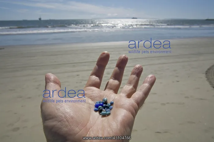 : Nurdles on the Beach : Nurdles on the Beach