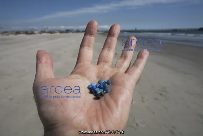 : Nurdles on the Beach : Nurdles on the Beach