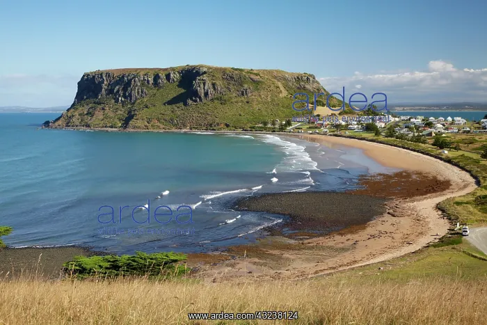 : The Nut, Circular Head, and Godfreys Beach : The Nut, Circular Head, and Godfreys Beach