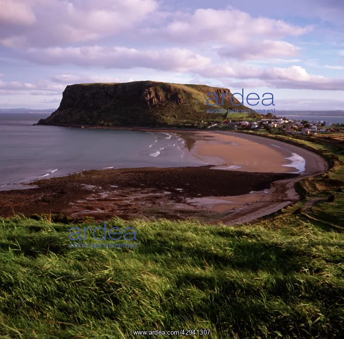 : The Nut, Stanley, northwest Tasmania, Australia : The Nut, Stanley, northwest Tasmania, Australia