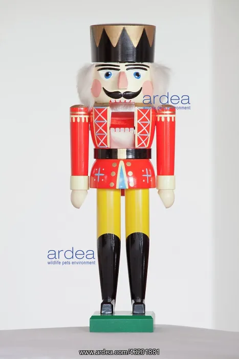 : Nutcracker from the Erzgebirge region : Nutcracker from the Erzgebirge region