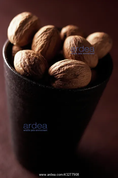 : Nutmeg, Mace, Myristica fragrans, Brown subject : Nutmeg, Mace, Myristica fragrans, Brown subject