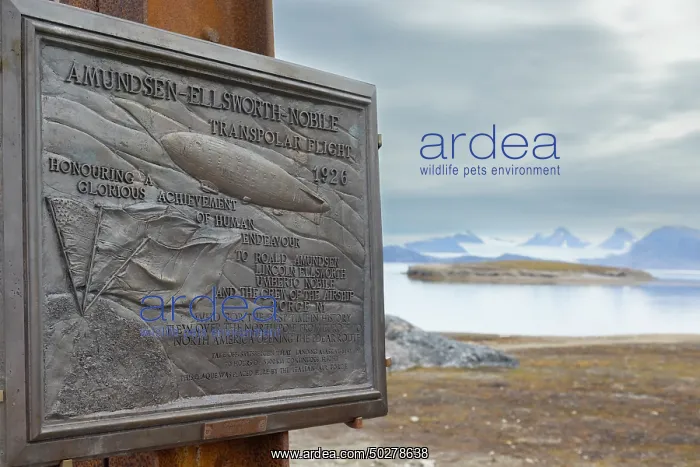 : Ny Alesund mast : Ny Alesund mast