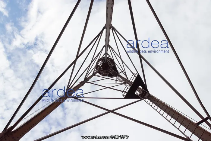 : Ny Alesund mast : Ny Alesund mast