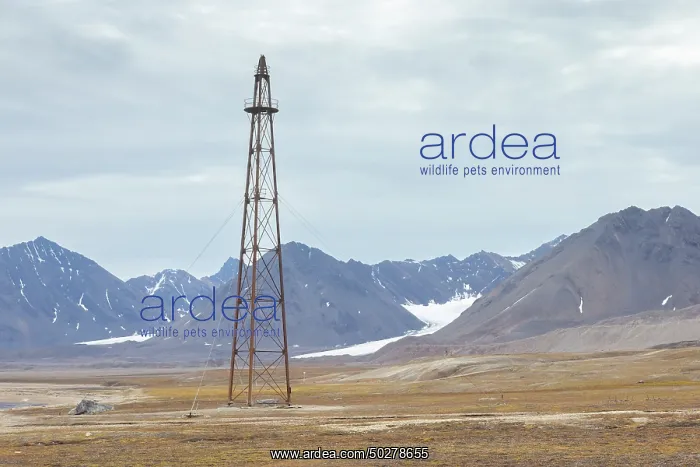 : Ny Alesund mast : Ny Alesund mast