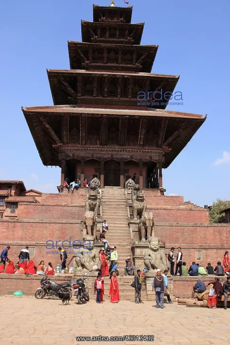 : Nyatapola Temple : Nyatapola Temple