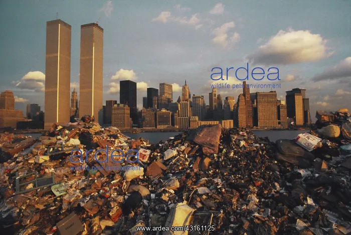 : NYC Garbage : NYC Garbage