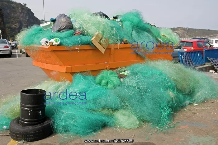 : Nylon fishing nets dumped in skip on quayside : Nylon fishing nets dumped in skip on quayside
