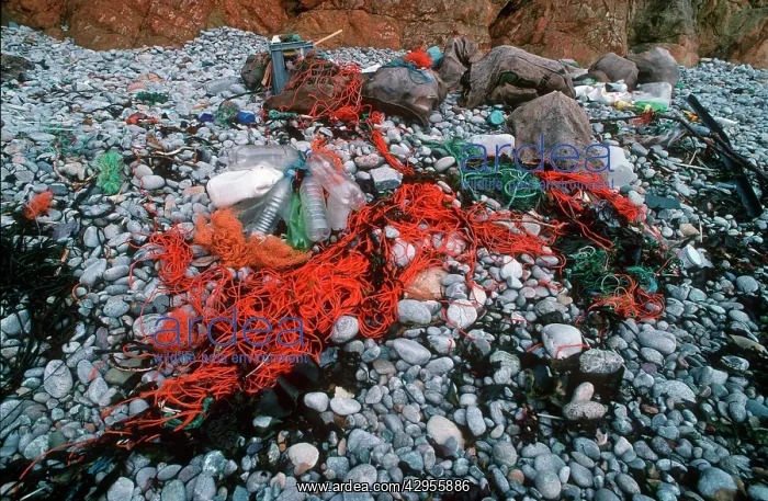: Nylon netting and plastic bottled washed up on : Nylon netting and plastic bottled washed up on