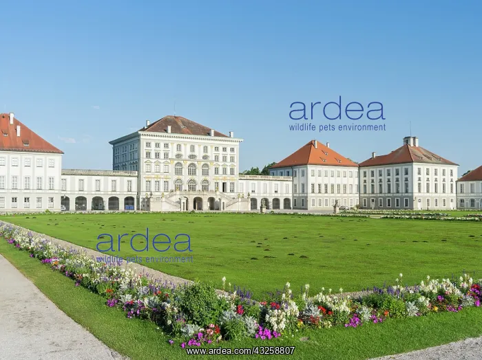 : Nymphenburg Palace and Park in Munich. Eastern : Nymphenburg Palace and Park in Munich. Eastern