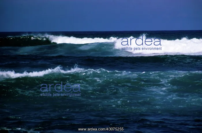 : Oahu North Shore : Oahu North Shore