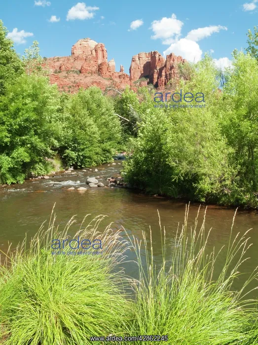 : Oak Creek and Cathedral Rock which is the most : Oak Creek and Cathedral Rock which is the most