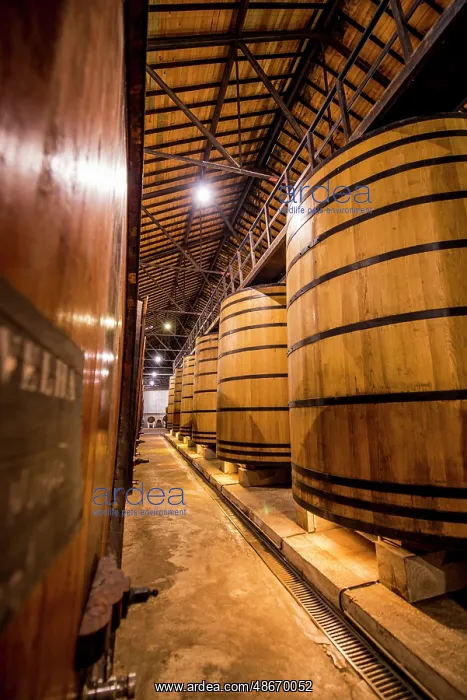 : Oak vats and barrels, Real Companhia Velha winery and : Oak vats and barrels, Real Companhia Velha winery and