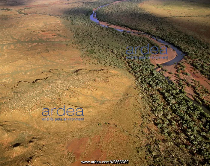 : Oakover River aerial, near Great Sandy Desert : Oakover River aerial, near Great Sandy Desert