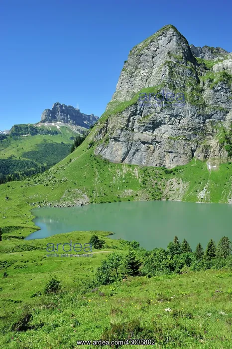 : Oberblegisee Mountain Lake : Oberblegisee Mountain Lake